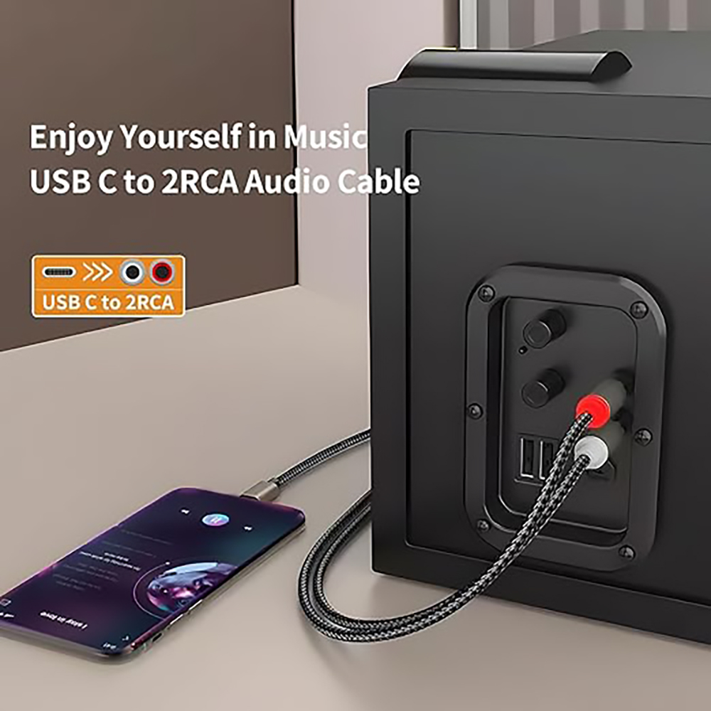 USB C naar 2 RCA-audiokabel, T - Audio Home Cinema recensie en prijs